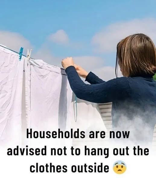 Why Outdoor Drying May Not Be Ideal During Allergy Season